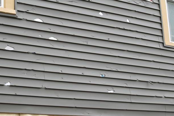 Affordable Siding Repair and Maintenance Services in Stoughton, WI